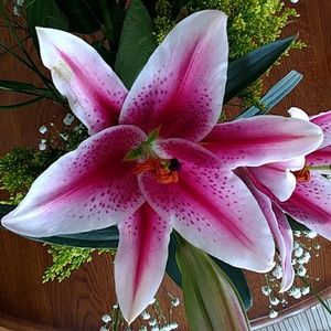 Meet your Posher, Mary